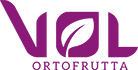 logo vol