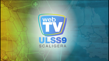 logo_webtv